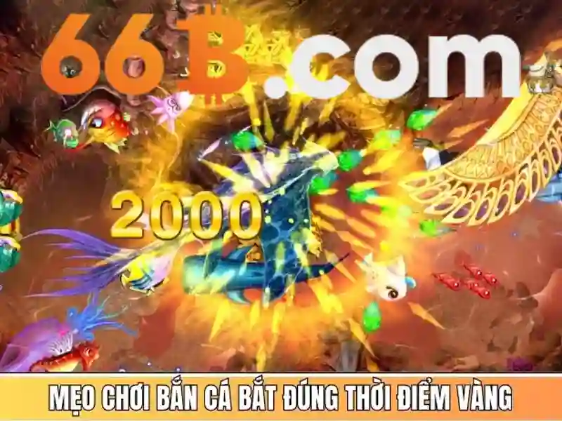 66b: một khái niệm công nghệ và tương lai